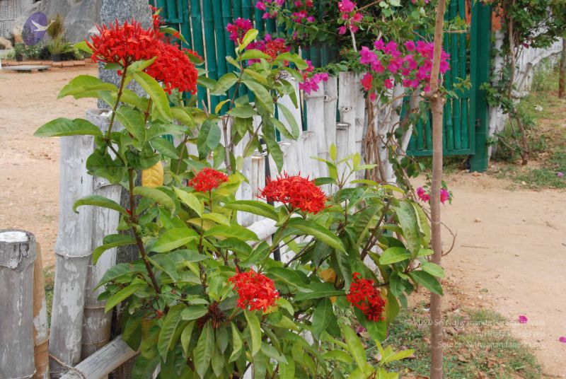 File:20100708 Photo 1849 1GT-JFgkDF0-8FVum0dVzK1yOX3xH8Vp2.JPG