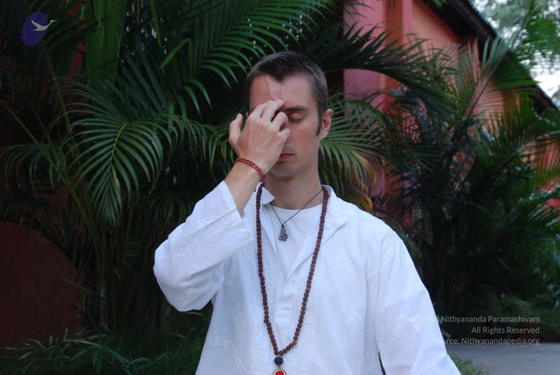 File:20100709 Photo 1075 1SRHh9wo488E7x1AbC1JbcrIcWIyGlxe9.JPG
