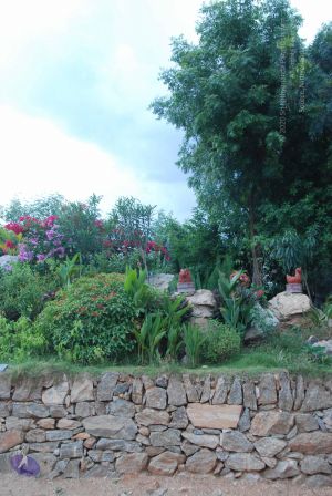 20100709 Photo 1288 1y3EJVEbVehnxqVMXyd413aXXQsCSkF0w.JPG