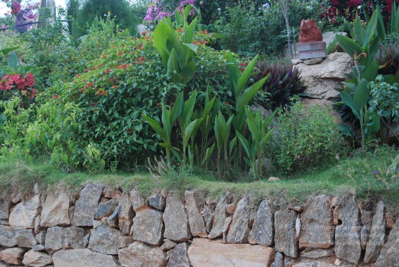 File:20100709 Photo 1291 1rVypz9FIIHMxFC9mqLUXK2E1VMCq8Fsv.JPG