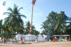 20100710 Photo 1020 1ZuHA5PTjau6apsYum7QbC0ECBojz8VoS.JPG