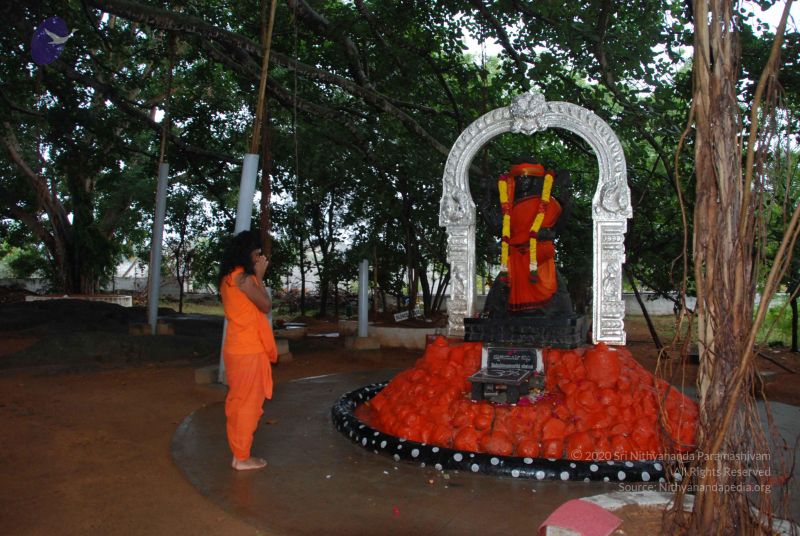 File:20100711 Photo 1030 1x1iXnIuLn-xdI2Z NKI-IcmIPc9jiDCE.JPG