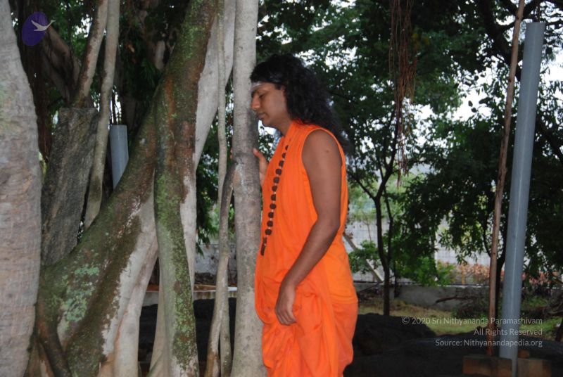 File:20100711 Photo 1037 1N-MdXoSU7fdyYMMcia7ntuZGgXebUrgi.JPG