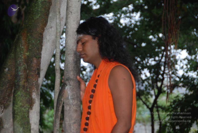File:20100711 Photo 1038 1bsq3pRX8 cDOVvBl1zVl7LzcG3NQZrLI.JPG