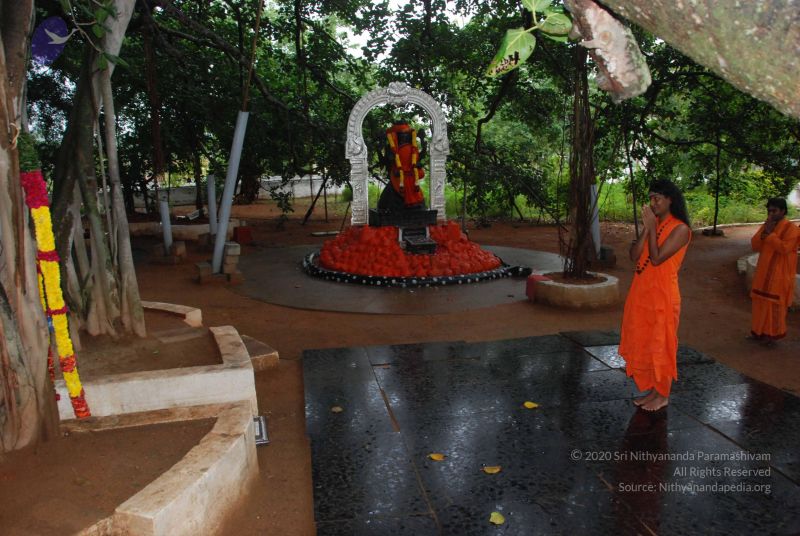 File:20100711 Photo 1040 1qIPMnDcwmziwglVJjiYFHRtIXYVKtkdz.JPG