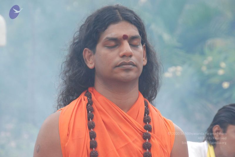 File:20100711 Photo 1110 14qNi1lvrOAiS-uGJPZNnPfsEO4suCh k.JPG