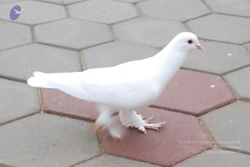 File:20100711 Photo 1156 1JjVly57GvR2t EcEOOlKYYJ2YiFOKYMc.JPG