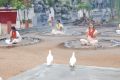 Thumbnail for version as of 01:34, 7 June 2021