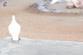 Thumbnail for version as of 01:34, 7 June 2021