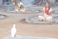 Thumbnail for version as of 01:34, 7 June 2021