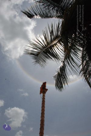 20100711 Photo 1321 1br0z-PqoF--k0NR3YxI62e1rsI bRAsY.JPG