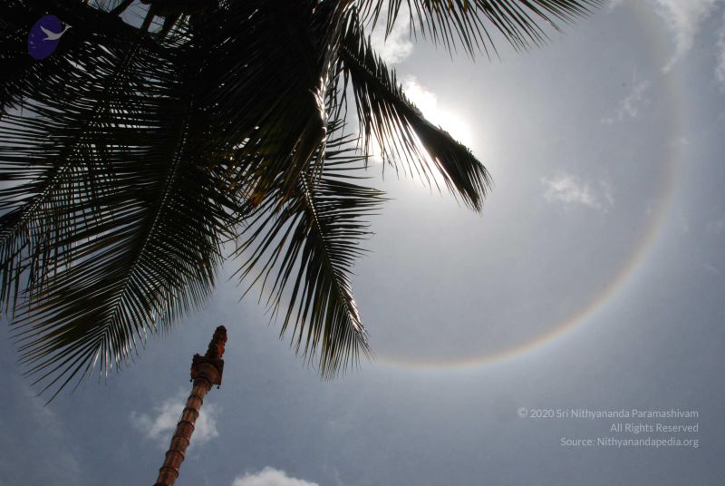 File:20100711 Photo 1326 1iHdz4UJs-01eRpI4MZchT9ttgD3Za-qQ.JPG