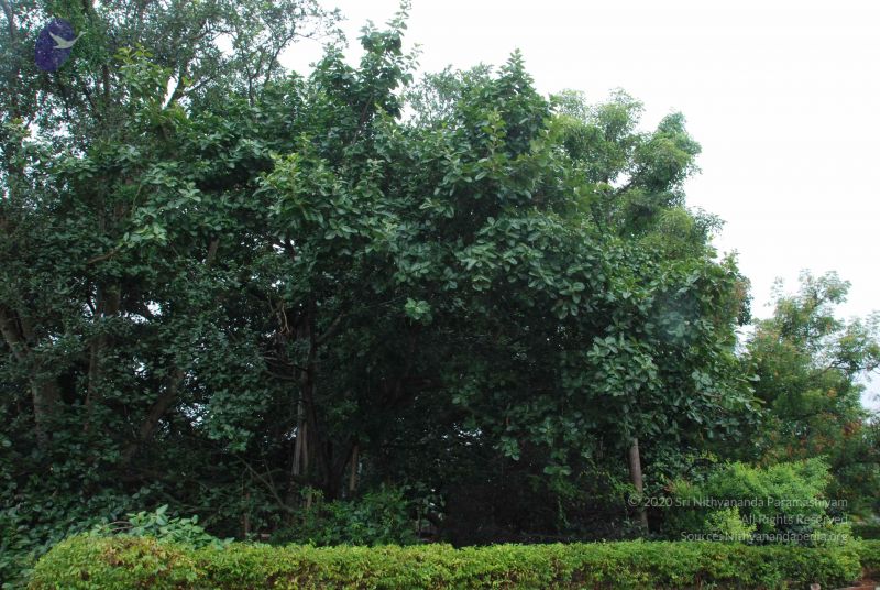 File:20100711 Photo 1360 1ehkM36MIhIMwLg85g3Yr TBDLjD6O2LO.JPG