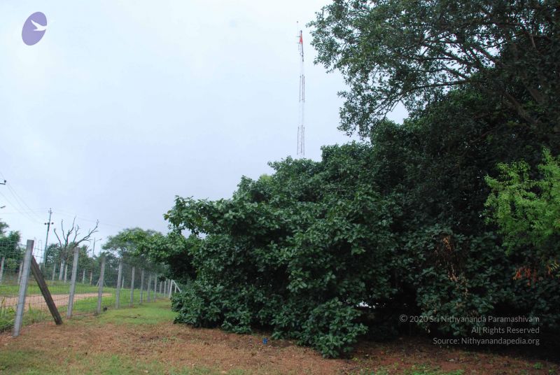 File:20100711 Photo 1364 12R3-dHGnKmBZujr2QeXW0BChdZg2FRHk.JPG