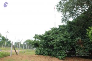 20100711 Photo 1367 1FZYkP9--CSdA3sHrZdHIaVodq03rtXI2.JPG