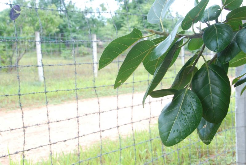 File:20100711 Photo 1379 1krKaVO4DkFDumZUPLJrJCW8-c3-QxtNQ.JPG