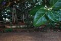 Thumbnail for version as of 01:37, 7 June 2021