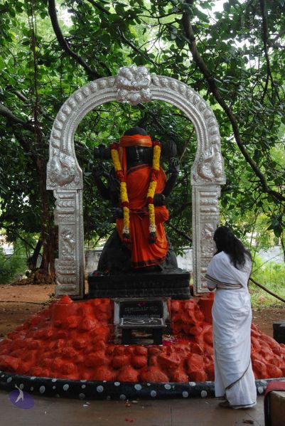File:20100711 Photo 1400 1SvW4jfYyIJ3e hzBpaUmThyrOPYtz1YN.JPG