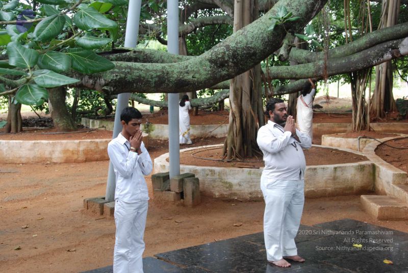 File:20100711 Photo 1422 1dLI4JO4EXrTvLMJUJsUeae 8VGI2nEQ3.JPG