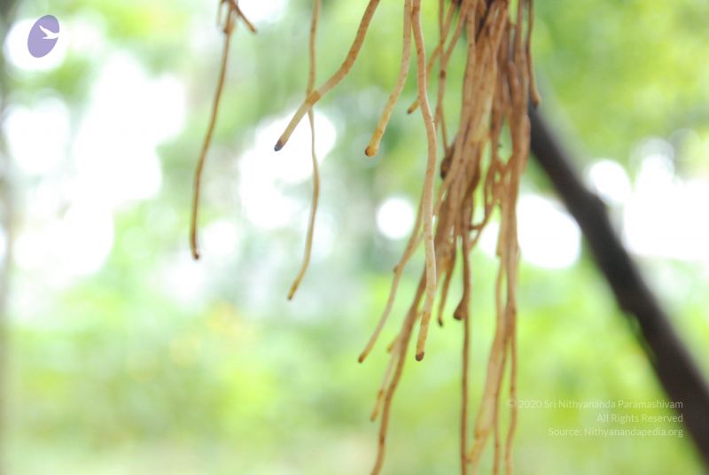 File:20100711 Photo 1435 16IPidkuEy0bQ6HKLSqcVRFD7gZprJkR0.JPG