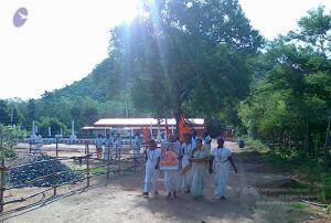 20100715 Photo 1005 1bArzPDHRnICQc6GwaTP0vBQAZsnACHb4.JPG