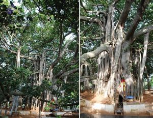 20100715 Photo 1005 1zp-VLERYXGwuCUlPhCkw5 X G Y7joXF.JPG