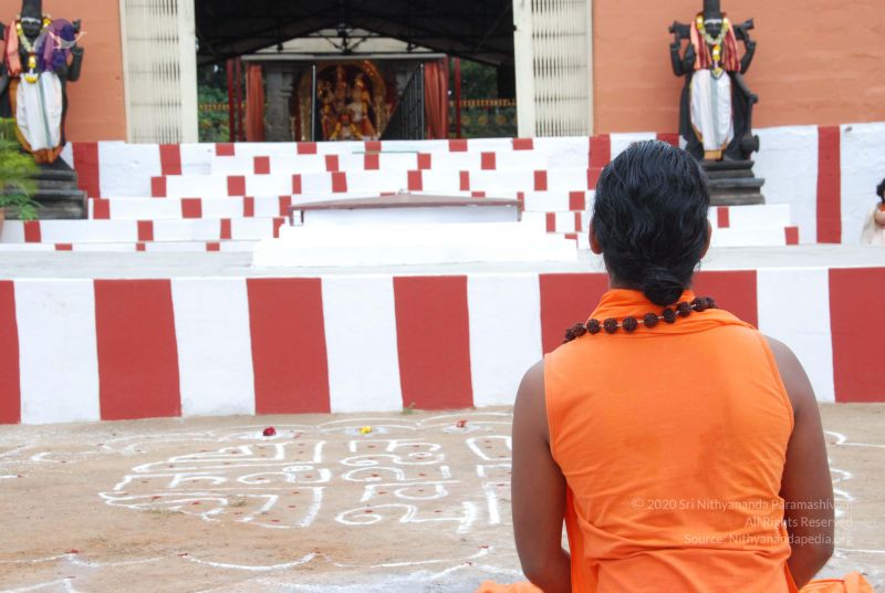 File:20100719 Photo 1048 1S1y29oykNs5eaW6a4ZDPlgzWT9WM3l04.JPG