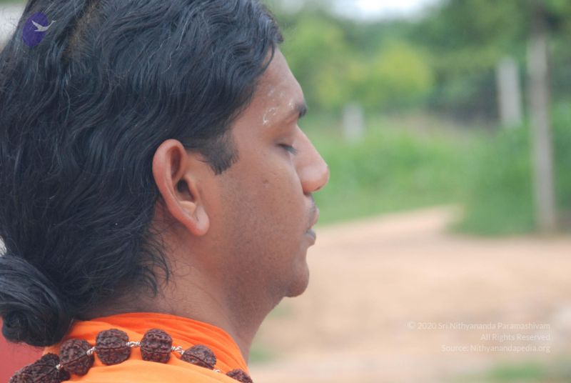 File:20100719 Photo 1062 1MhXrGk eQ3GTJGrd1nQqMMLyAQqU96NK.JPG