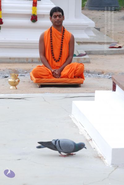 File:20100719 Photo 1089 13GPuU tUi68534rxq FgdzcP6omIlTvh.JPG