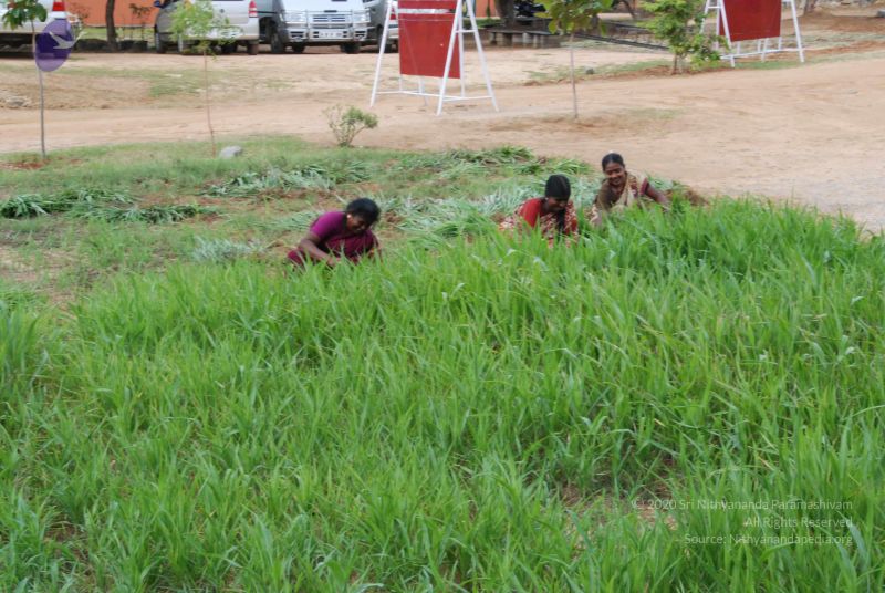 File:20100719 Photo 1258 1WY86grZijj4R2q1FPAkyG0MVre2AbVkJ.JPG