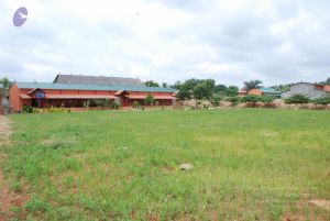 20100719 Photo 1274 1kBWKl PRXQtAaubmM PvRz7N9yfeMhFX.JPG