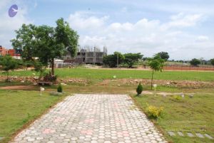 20100719 Photo 1279 10 xHe0EFQtAagJPIef 7U rAeUVwusI0.JPG