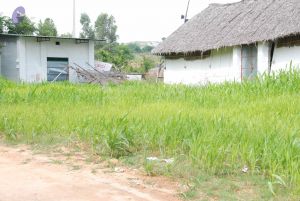 20100719 Photo 1283 1bamj WKdEC9jN1M40DTx13NlOk0TcMps.JPG