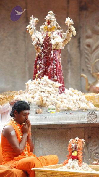 File:20100721 Photo 1017 10aVlphAUB9TV9DUX9SmV3OpZY8KQa8fJ.JPG