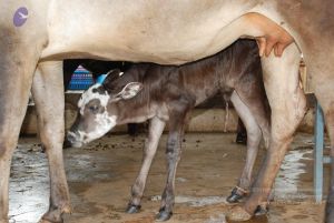 20100721 Photo 1220 1hqKv2tAII5fZEO0uupvHYzUuuqx NwJn.JPG