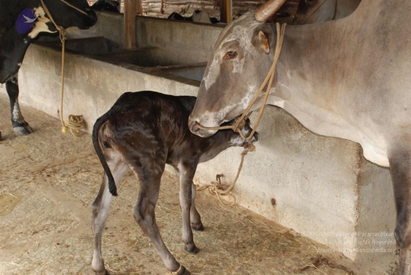 File:20100721 Photo 1228 1K-3v3QCSVDjbwggLpfHi2u8yJSsC1k1E.JPG