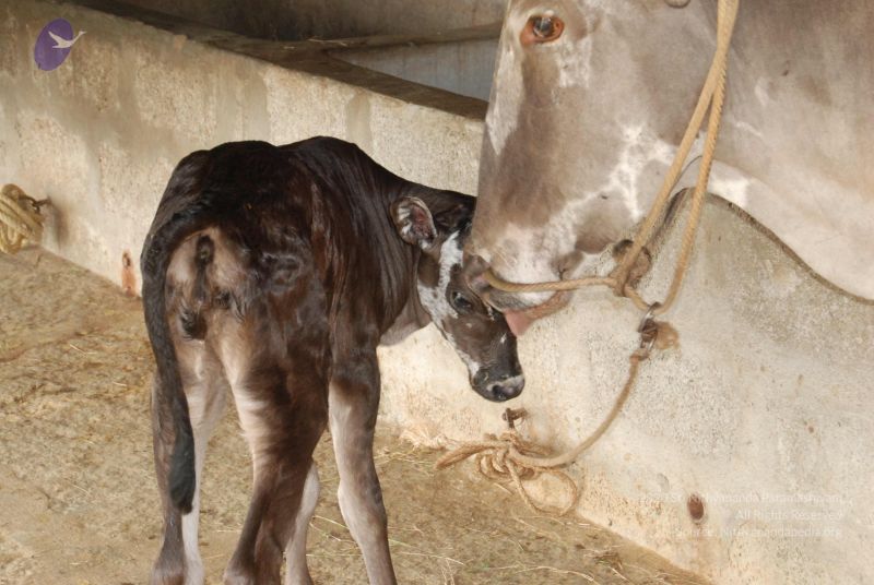 File:20100721 Photo 1230 1VNhbetympunXR3bEGn7wMdxCGu eMP9A.JPG