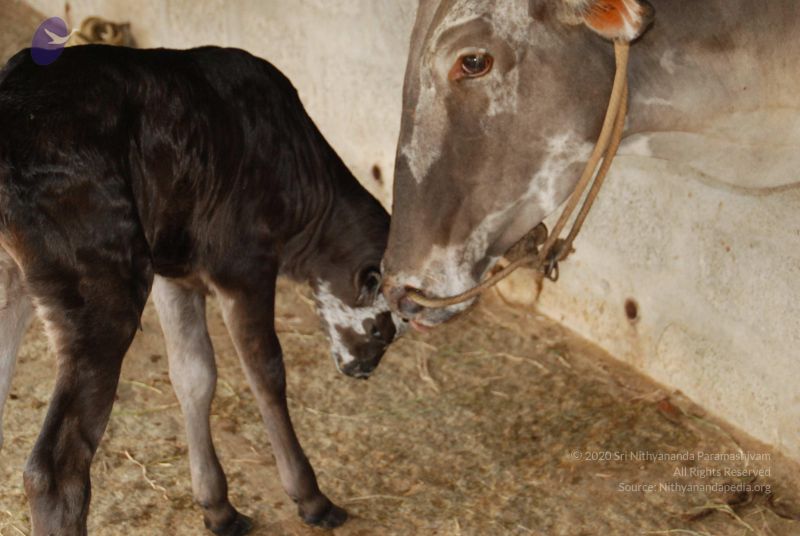 File:20100721 Photo 1234 1yFgJuVXjG129QYG1o3ytyK-ZrBMaSn a.JPG