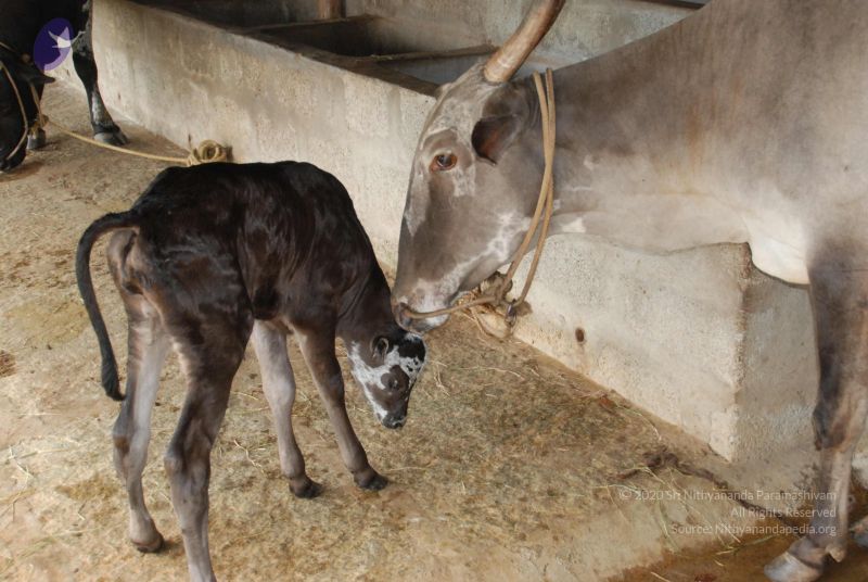 File:20100721 Photo 1235 1Pe8f7BcPSuAtKAhqGJ6Sqeq4U1SuT6Eg.JPG