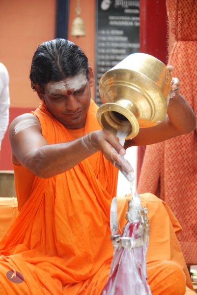 File:20100721 Photo 1567 1Ddw1gfqkaM73QLeML QaEwduEa-gBpVS.JPG