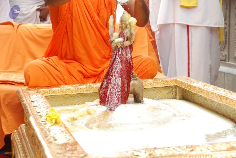 File:20100721 Photo 1611 12EoGaR9iBUE6 d0YWKBtTCMoPRgXd99T.JPG