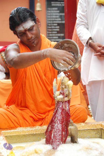 File:20100721 Photo 1618 1W5SsAGHvL7IVaBmEL VHwP66srgReBkJ.JPG