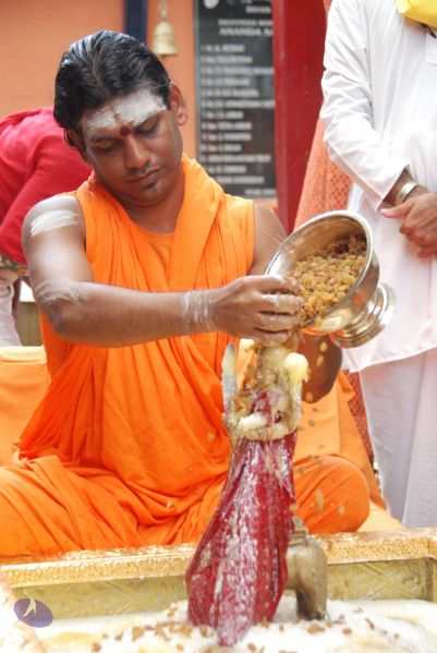 File:20100721 Photo 1622 1zow22RwfMKNJwr7BvgtI6Ey9DXgU51Lv.JPG