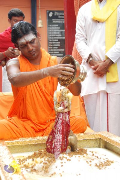 File:20100721 Photo 1624 15gBFLwqezlN crrywNAykmgkTCXsN0pY.JPG