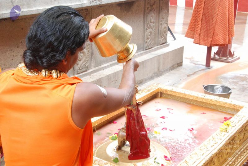 File:20100721 Photo 1774 1KEMWzXsUyOCapoQAuSv64u6LxpTsRZX5.JPG