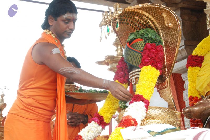 File:20100721 Photo 1888 18DGdNoJA219kUQ7X2qW8p2ClUb-fwcV6.JPG