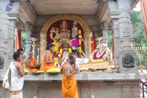 20100721 Photo 2068 1NUDuttVrvGp9-kpWjNXNBGNYzwASaqA0.JPG