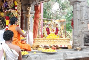 20100721 Photo 2090 1X1VAgjasYovGpudqGIP9H9elMreO6koR.JPG