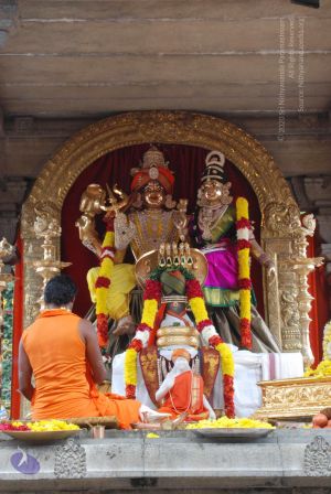 20100721 Photo 2103 1R i-EZutAc-yG bDUlPwbQC 5MQmbQec.JPG