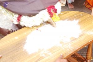 20100721 Photo 2384 1WmcfNv1H3MlbU07rJvEkhTSDaN56pazA.JPG